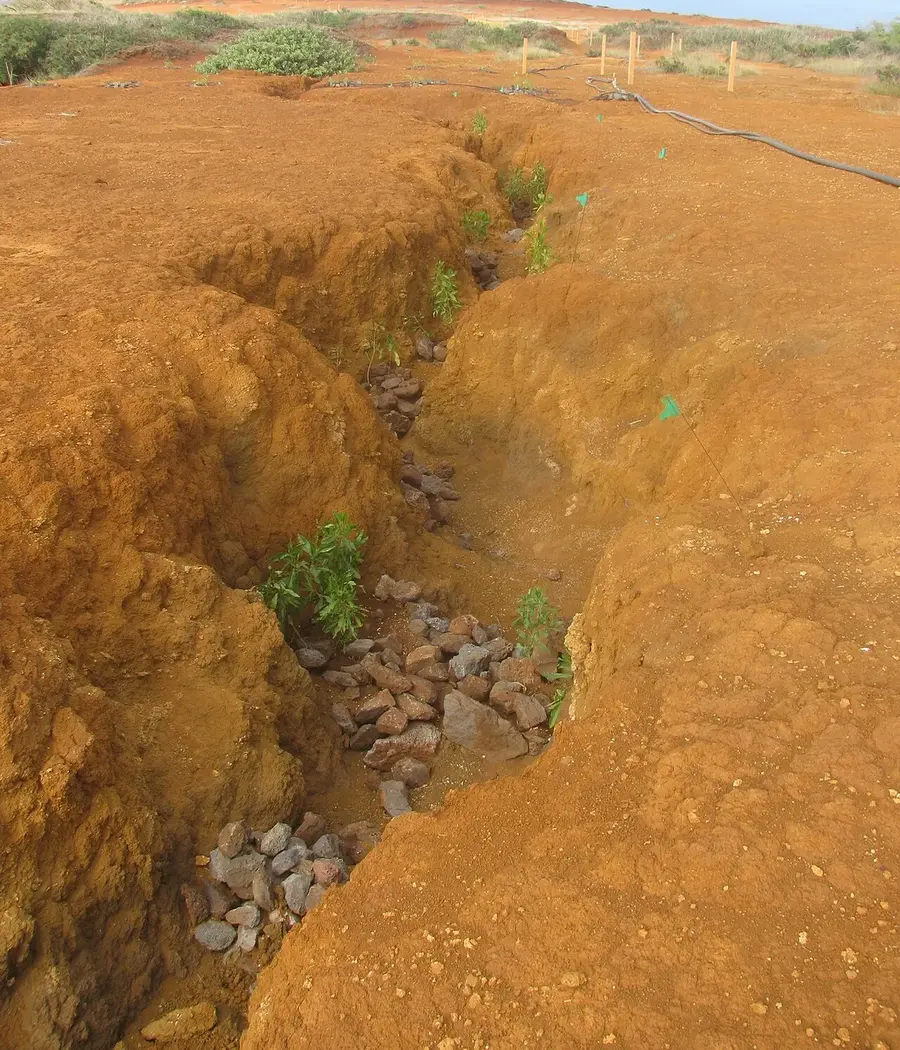 Deep erosion gully cut into bare red soil, with rocks placed along the bottom and new plants set in the channel