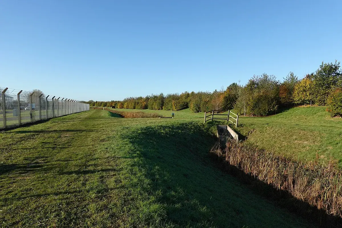 Wide grassed drainage swale running between a fence line and a row of young trees